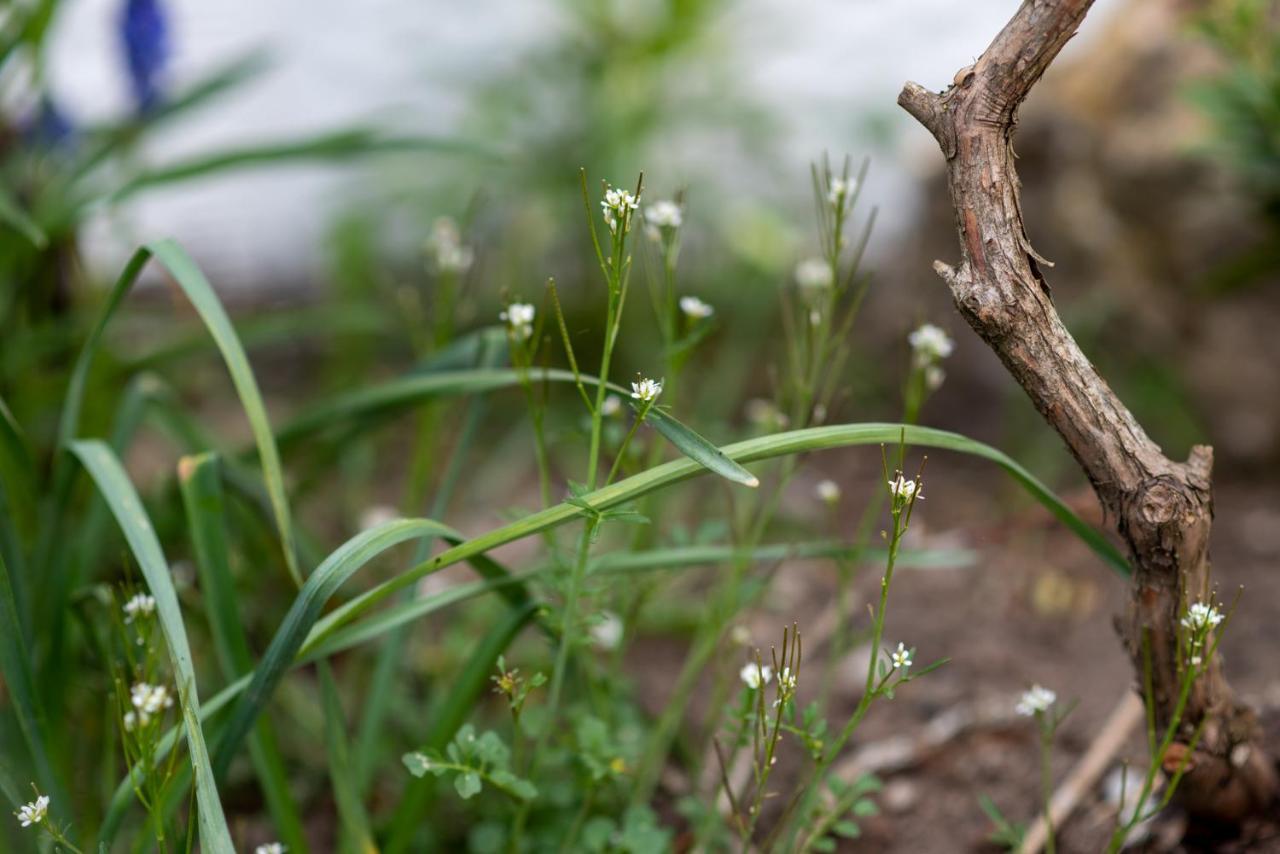 Wohlfuehloase Brombachsee ไพลน์เฟลด์ ภายนอก รูปภาพ