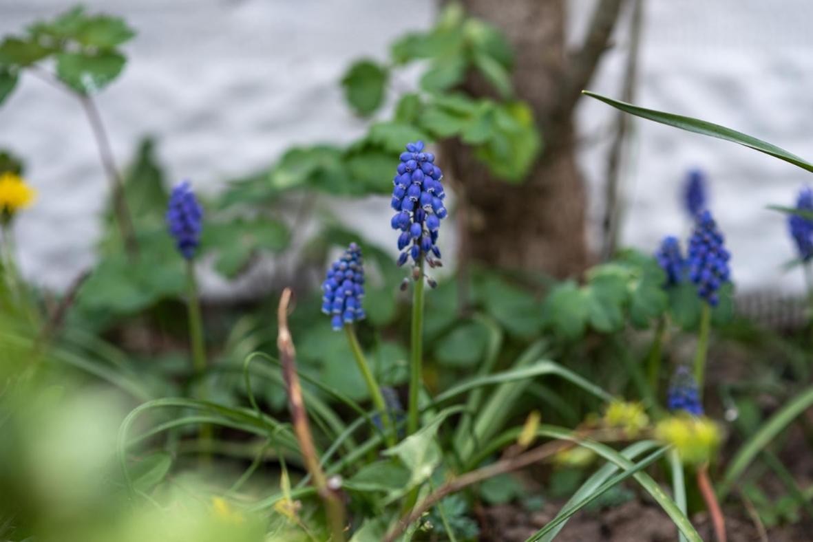 Wohlfuehloase Brombachsee ไพลน์เฟลด์ ภายนอก รูปภาพ
